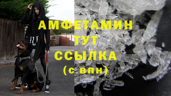 шишки Алексеевка