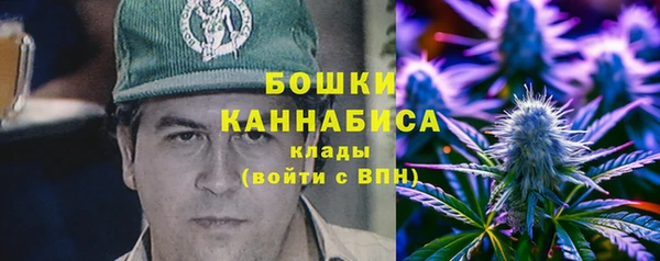 шишки Алексеевка