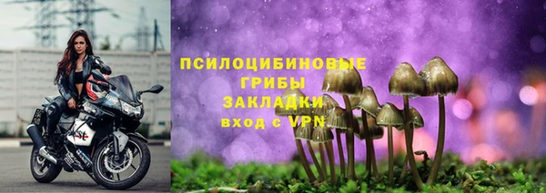 меф Алексин
