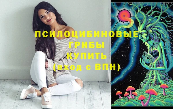 меф Алексин