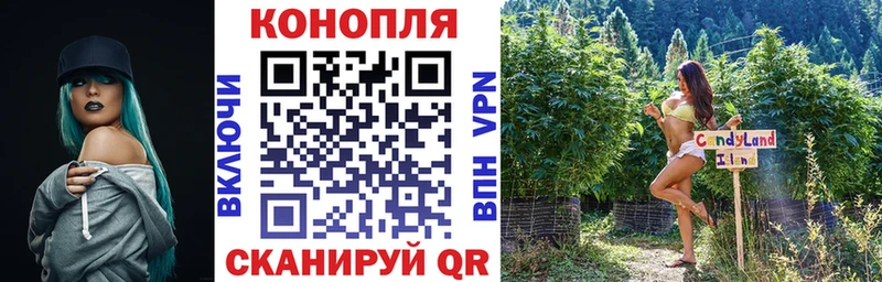 нарко площадка телеграм Александровское kraken зеркало Бошки марихуана LSD WEED цены